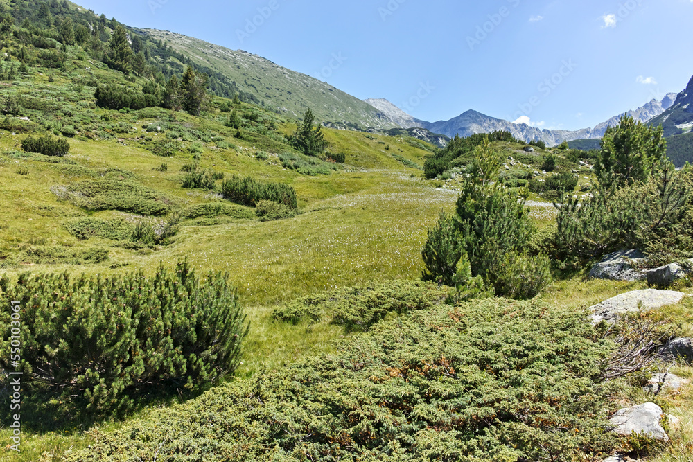Landscape of Pirin Mountain mountain near Begovitsa hut, Bulgaria