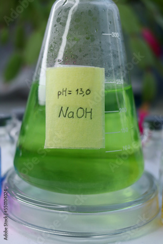 A strongly alkaline solution of sodium hydroxide in a conical flask with an indicator dye. photo