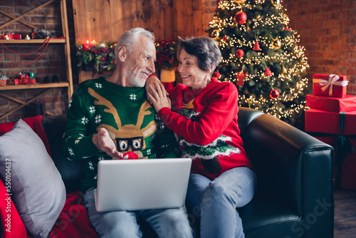 Photo of two peaceful idyllic aged people sitting couch use netbook eshopping hug speak evergreen tree garland decor indoors © deagreez