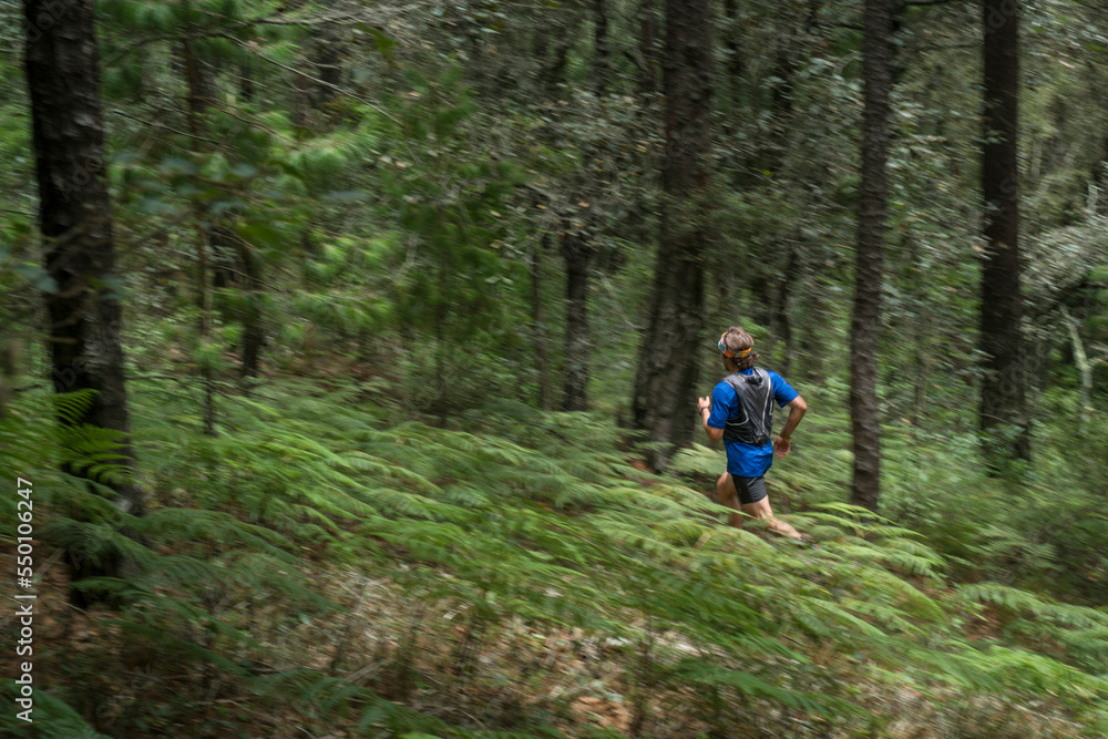 Trail runner running through forest, Hidalgo, Mexico Trail runner running through forest, Hidalgo, Mexico