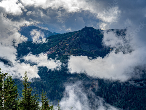 Moody evergreen-forested mountain shrouded in clouds