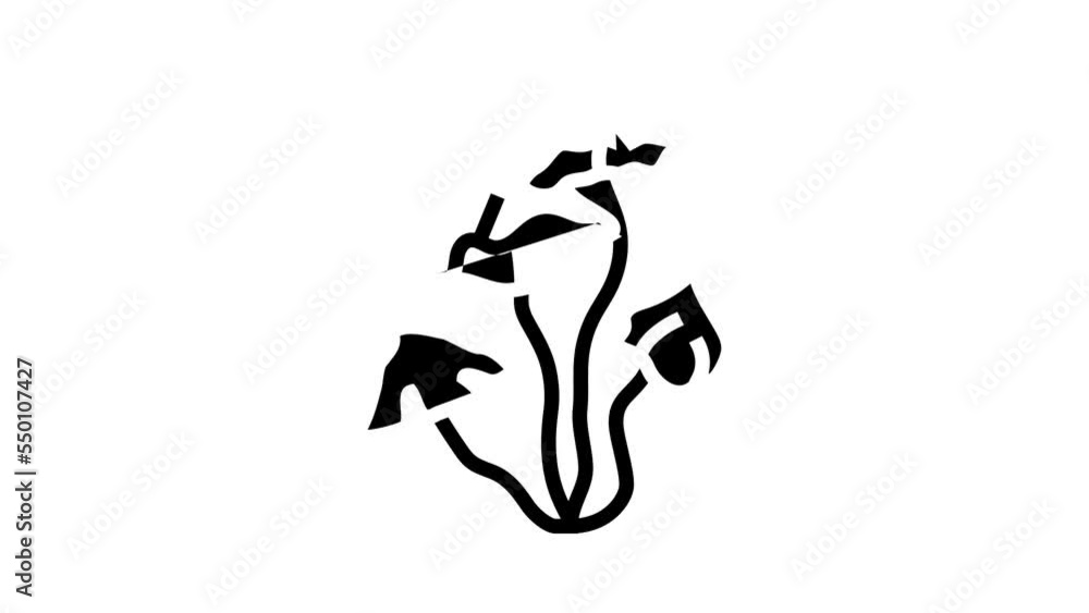 psychedelic drug mushroom glyph icon animation psychedelic drug mushroom glyph icon animation