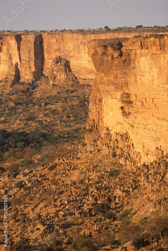 The Bandiagara Cliffs loom above the village of Ireli, Mali photo