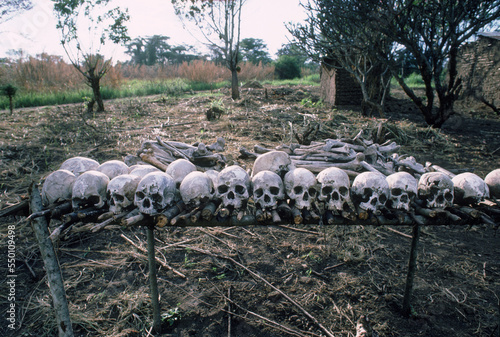 Skulls of victims of a massacre, Uganda. photo