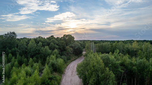 Aerial view of road in beautiful green forest at sunset in spring. Colorful landscape with trees in summer. View from above, shot by a drone. Travel and freedom concept. High quality photo