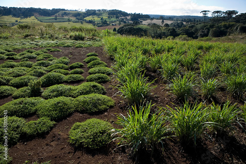 farm co-op in Brazil