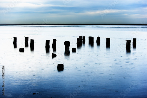 Old pier posts along the shoreline in Eureka, California. photo