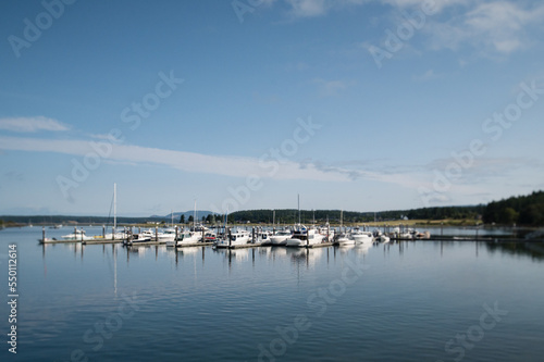 Wallpaper Mural Sailboats docked at the harbor on Lopez Island WA under a blue sky Torontodigital.ca