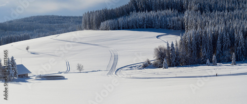 Cross-country skier on ski track Thurnerspur in the Black Forest near St. Märgen, Hochschwarzwald, Baden-Württemberg, Germany photo