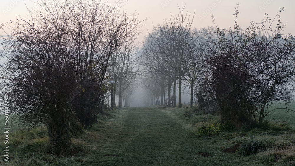 misty morning in a czech countryside landscape misty morning in a czech countryside landscape