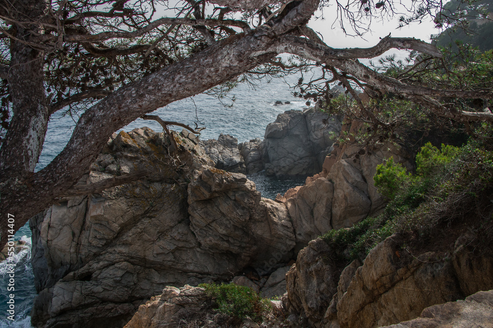 Beautiful landscape, rocky shore of the mediterranean sea. Catalonia Beautiful landscape, rocky shore of the mediterranean sea. Catalonia