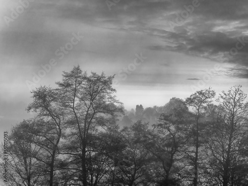 Black and white picture of a landscape in November fog.