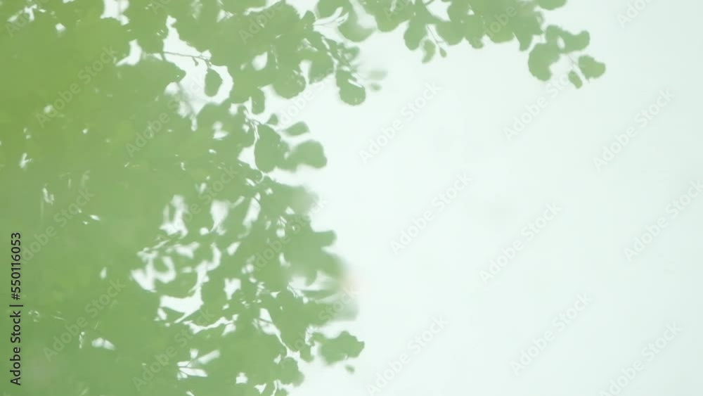 Clean water in a pond, reflecting the blue sky and the green trees above. Slow motion overhead shot.