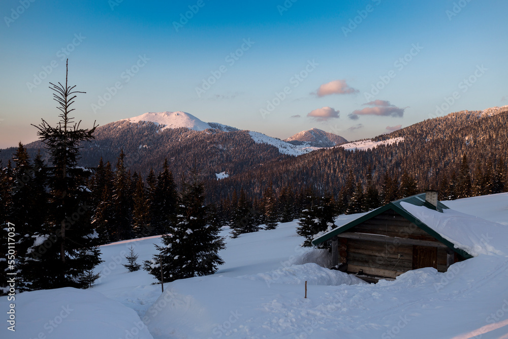 A mountain hut is covered with snow in the middle of the forest against the background of the beautiful Marmaros mountain