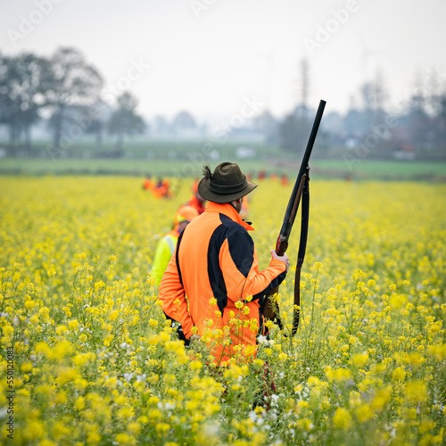 Treibjagd: Jäger in Signalkleidung laufen in einer Reihe, in einem Feld, mit blühenden Senf.