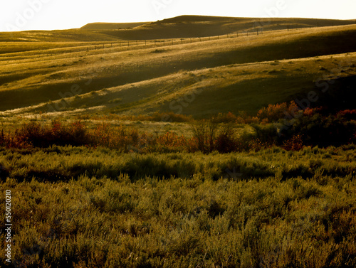 Native Alberta Grasslands at sunset near Medicine Hat Alberta