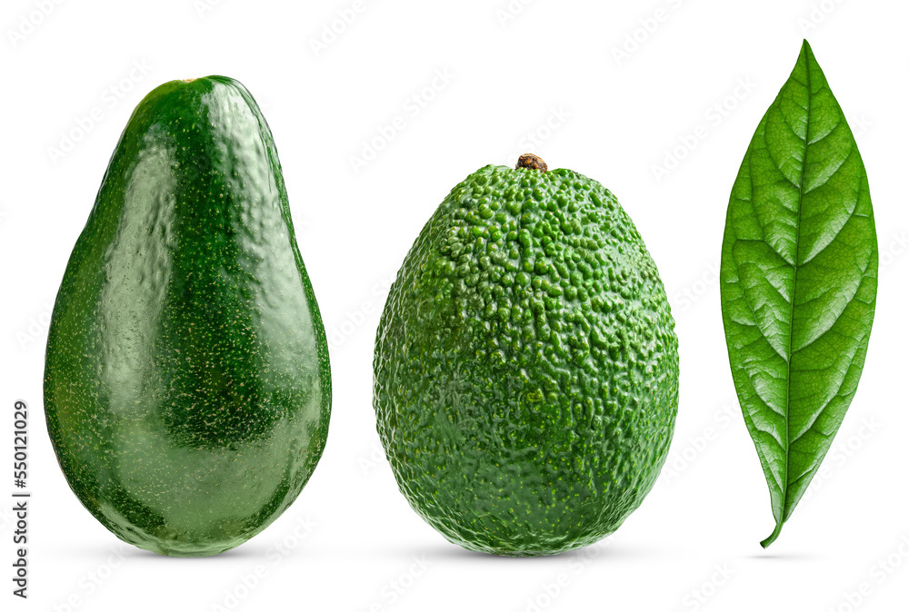 Set of two kinds of avocado and green avocado leaf isolated Set of two kinds of avocado and green avocado leaf isolated