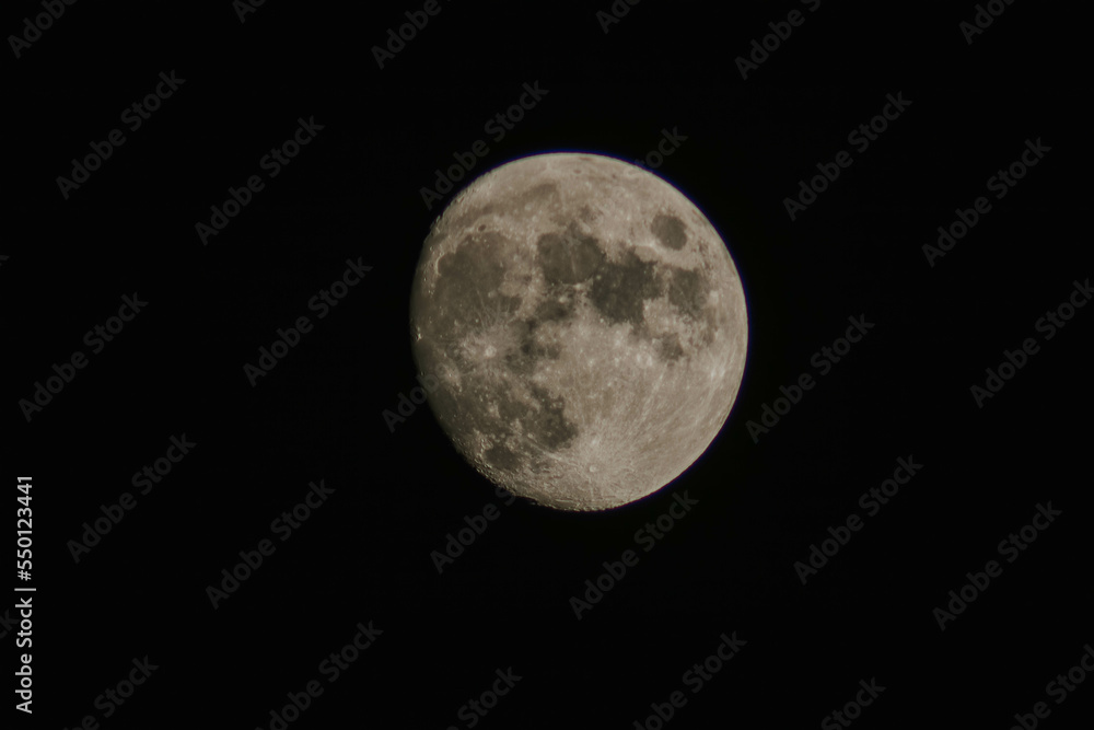 moon in the night moon in the night