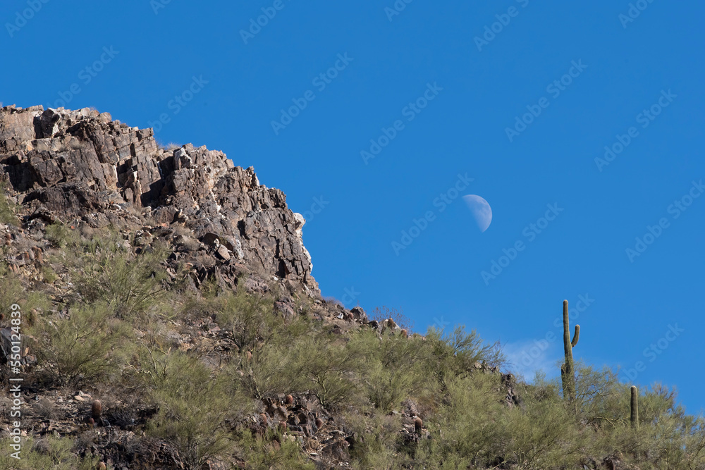 Gorgeous View Of The American Southwest Desert Showing Large Rock Formations Gorgeous View Of The American Southwest Desert Showing Large Rock Formations