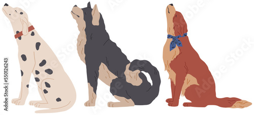 Set of cute dogs. Lovely adult dog and friendly puppy, side view, friendly domestic animals. Adorable cartoon funny pet, dalmatian, husky and shepherd dog hand drawn collection on white background
