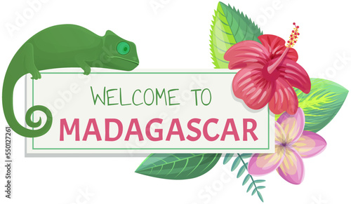 Welcome to madagascar banner with hand written word, funny animal chameleon, flowers and leaves, lizard and headline isolated on white background. Poster invitation to exotic tropical island