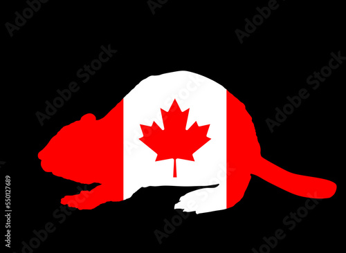 Canada flag over beaver vector silhouette illustration isolated on black background. Emblem of Canada over national animal. North America territory. Canadian banner patriotic symbol. Cute pet rodent.