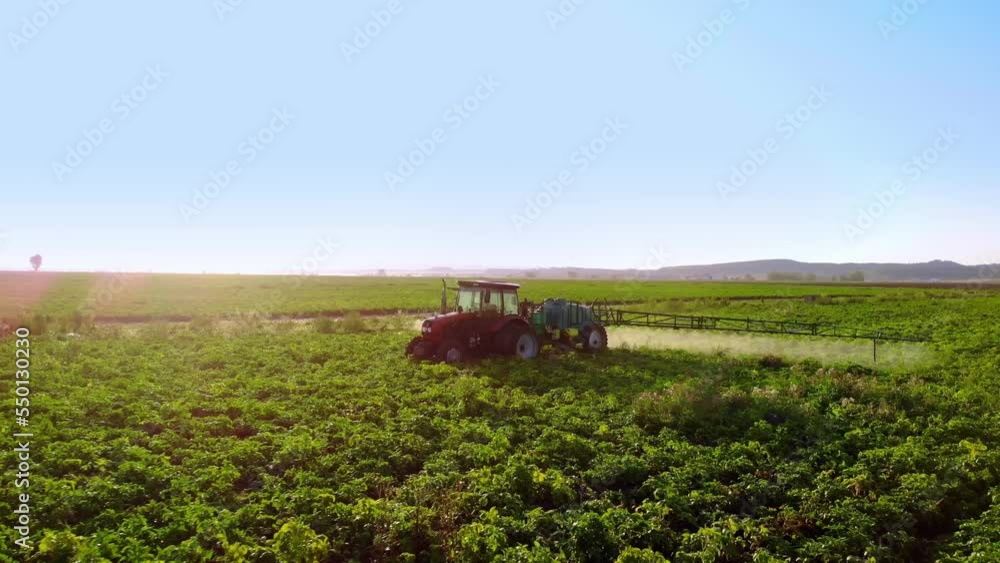Aerial view process of spraying with chemicals and pesticides fields with potatoes. Growing potatoes in fields and cultivating vegetables. tractor pulls barrel with irrigation system behind it. Aerial view process of spraying with chemicals and pesticides fields with potatoes. Growing potatoes in fields and cultivating vegetables. tractor pulls barrel with irrigation system behind it.
