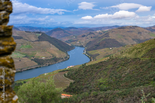Panoramic view in autumn Vineyards in Douro valley, Alto Douro Wine Region is UNESCO World Heritage Site. Peso da Regua, Portugal, Europe