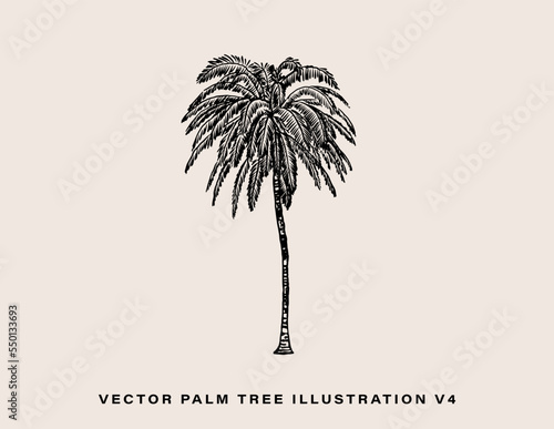 VECTOR PALM TREE 