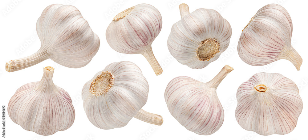 Garlic isolated on white background, collection Garlic isolated on white background, collection