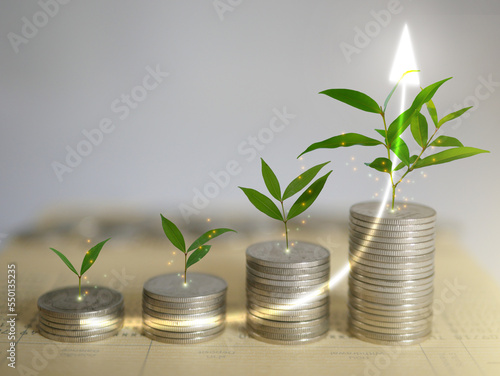 Obraz na plátně Stacks of coins, money, with plants sprout on top