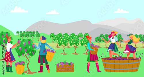 Traditional professional winemaker concept, character woman farmer together harvest grape tree wine flat vector illustration.
