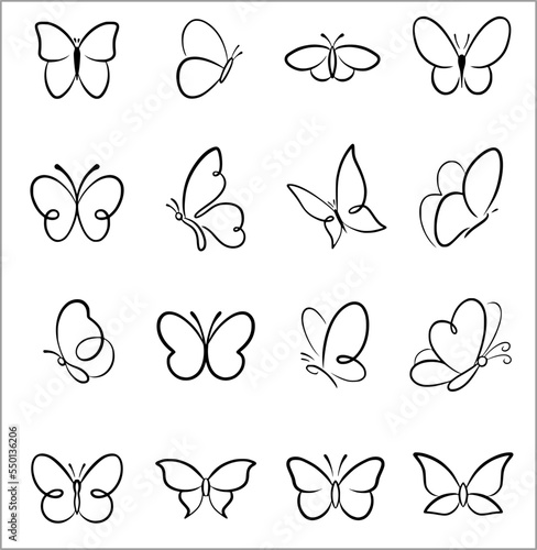 simple butterfly insect outline vector SVG line art photo