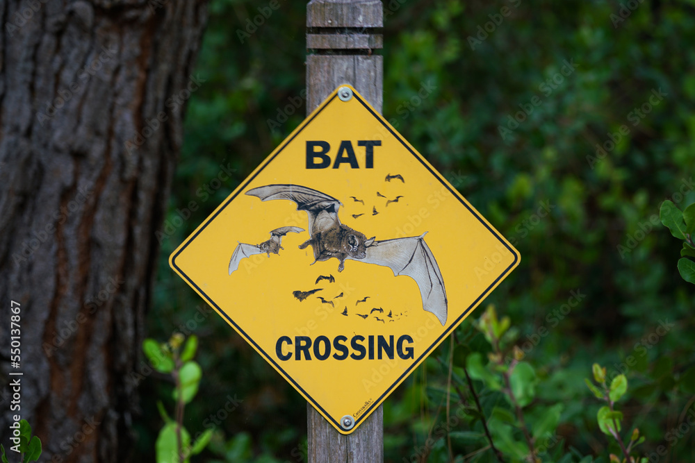 Yellow diamond bat crossing sign at wildlife preserve.