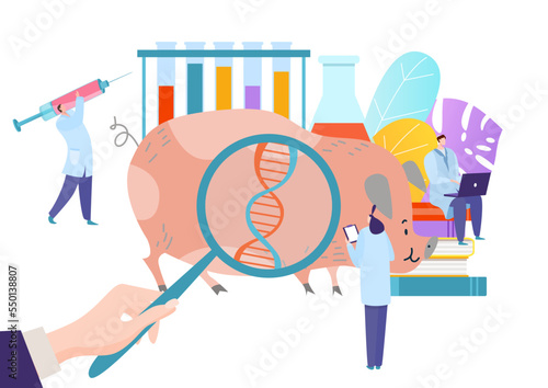Genetically modern modified animal, scientific research fellow experimental pig flat vector illustration, isolated on white.