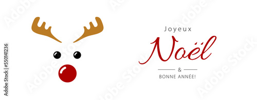 Merry Christmas and Happy New Year lettering in French (Joyeux Noël et Bonne Année) with reindeer. Christmas banner concept