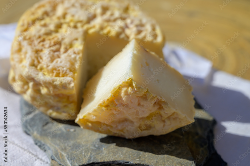 Tasting of local portuguese matured cheese queijo serpa,  Setubal area, Portugal