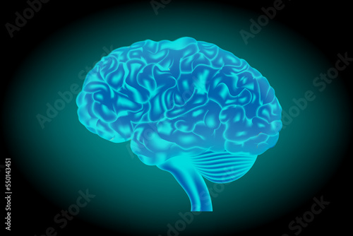 Human brain in neon glow on a dark background. Side view. Vector illustration