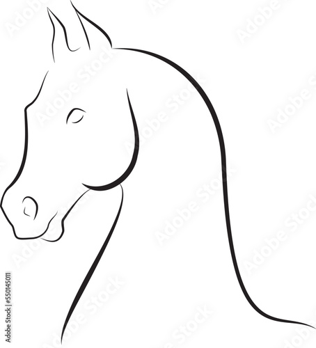 Simple scetch of a horse head in vector.