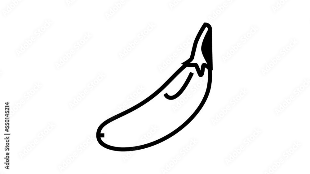 eggplant white line icon animation eggplant white line icon animation