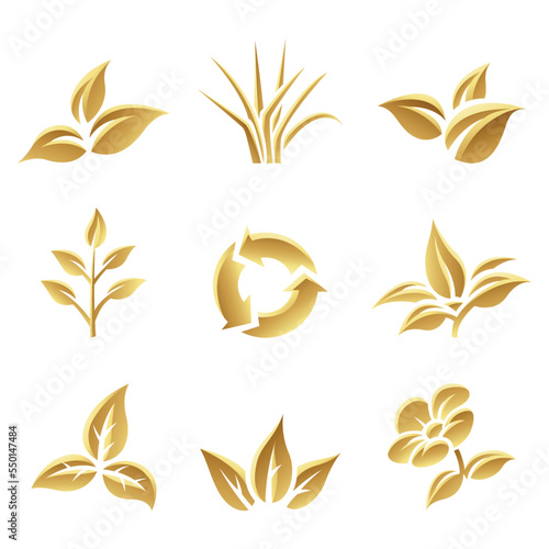 Golden Glossy Leaves on a White Background
