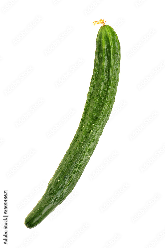 cucumber isolated on white cucumber isolated on white