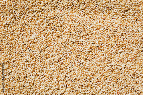 Quinoa, background of quinoa grains or seeds. Freshly grown and washed quinoa. Quinoa drying. white quinoa photo