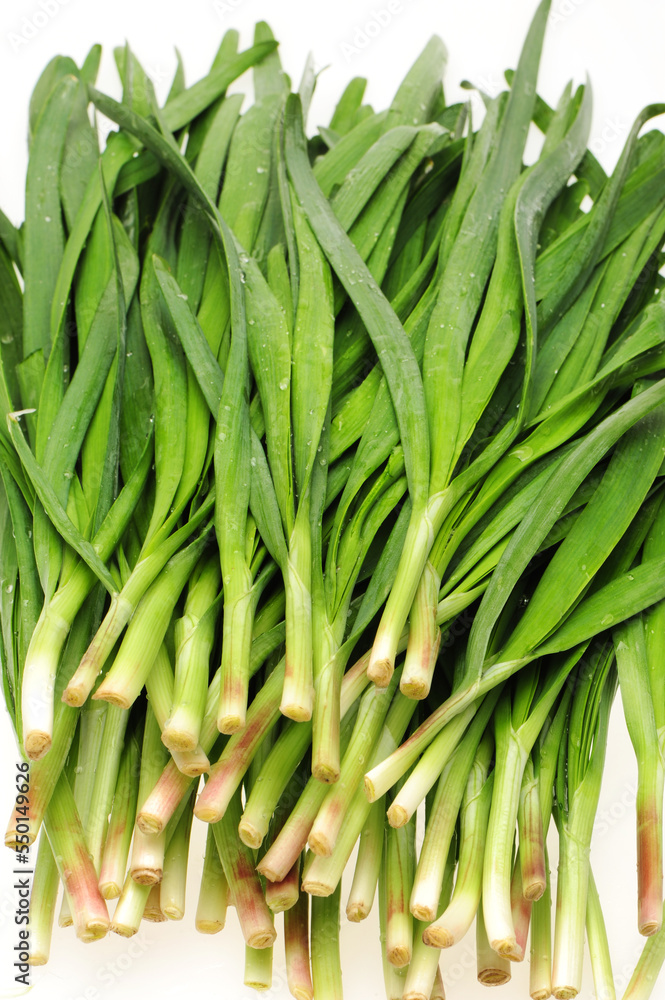 Obraz premium Leek on white background