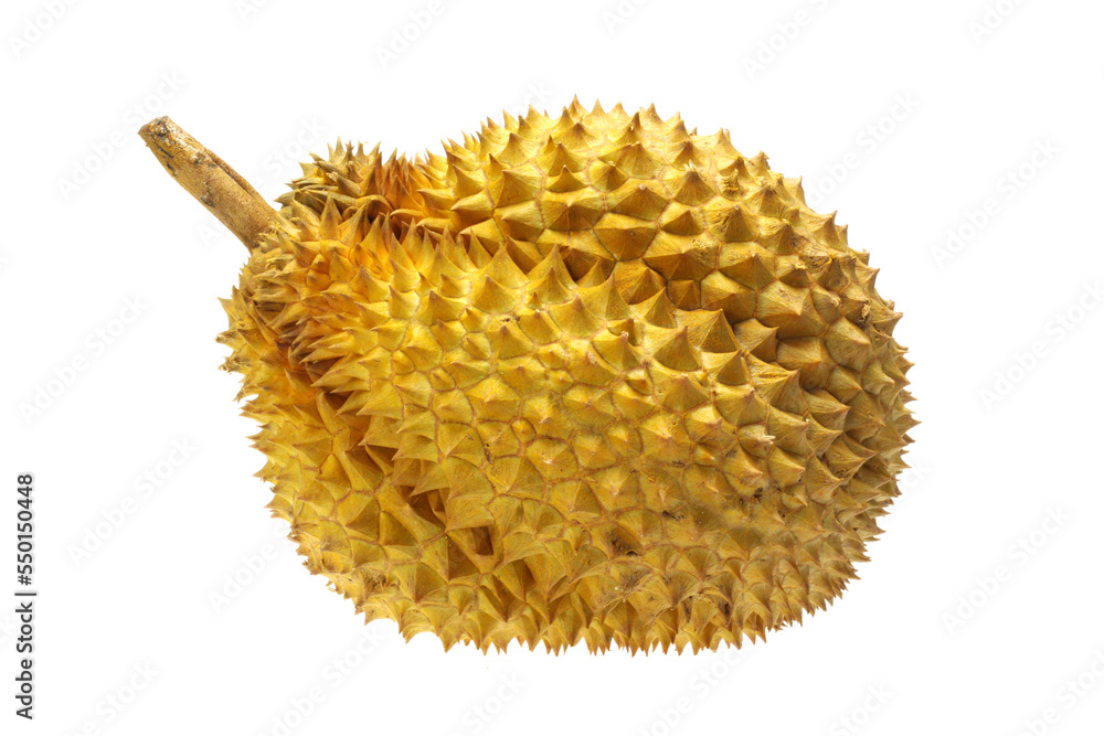 durian isolated on white background durian isolated on white background
