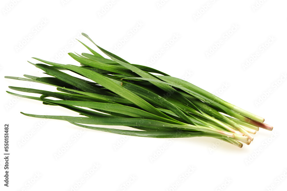 Fototapeta premium Leek on white background