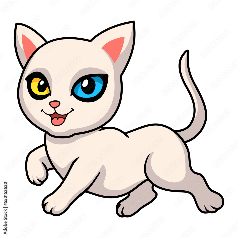 Cute khao manee cat cartoon Cute khao manee cat cartoon