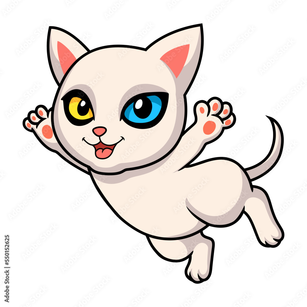 Cute khao manee cat cartoon flying Cute khao manee cat cartoon flying