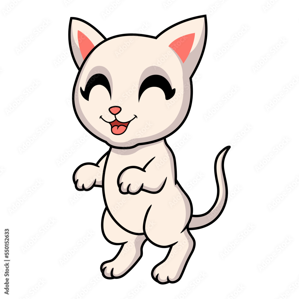 Cute khao manee cat cartoon Cute khao manee cat cartoon