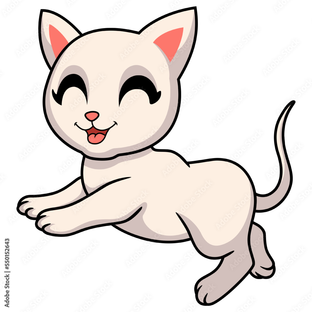 Cute khao manee cat cartoon Cute khao manee cat cartoon